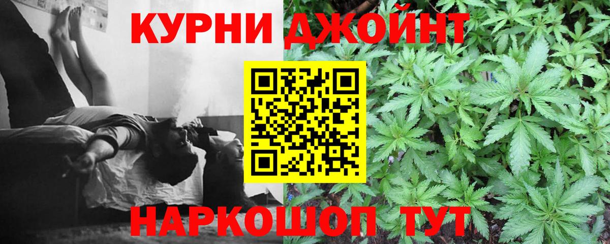 Конопля гибрид Гуково